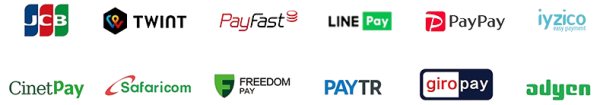 Payment Partners